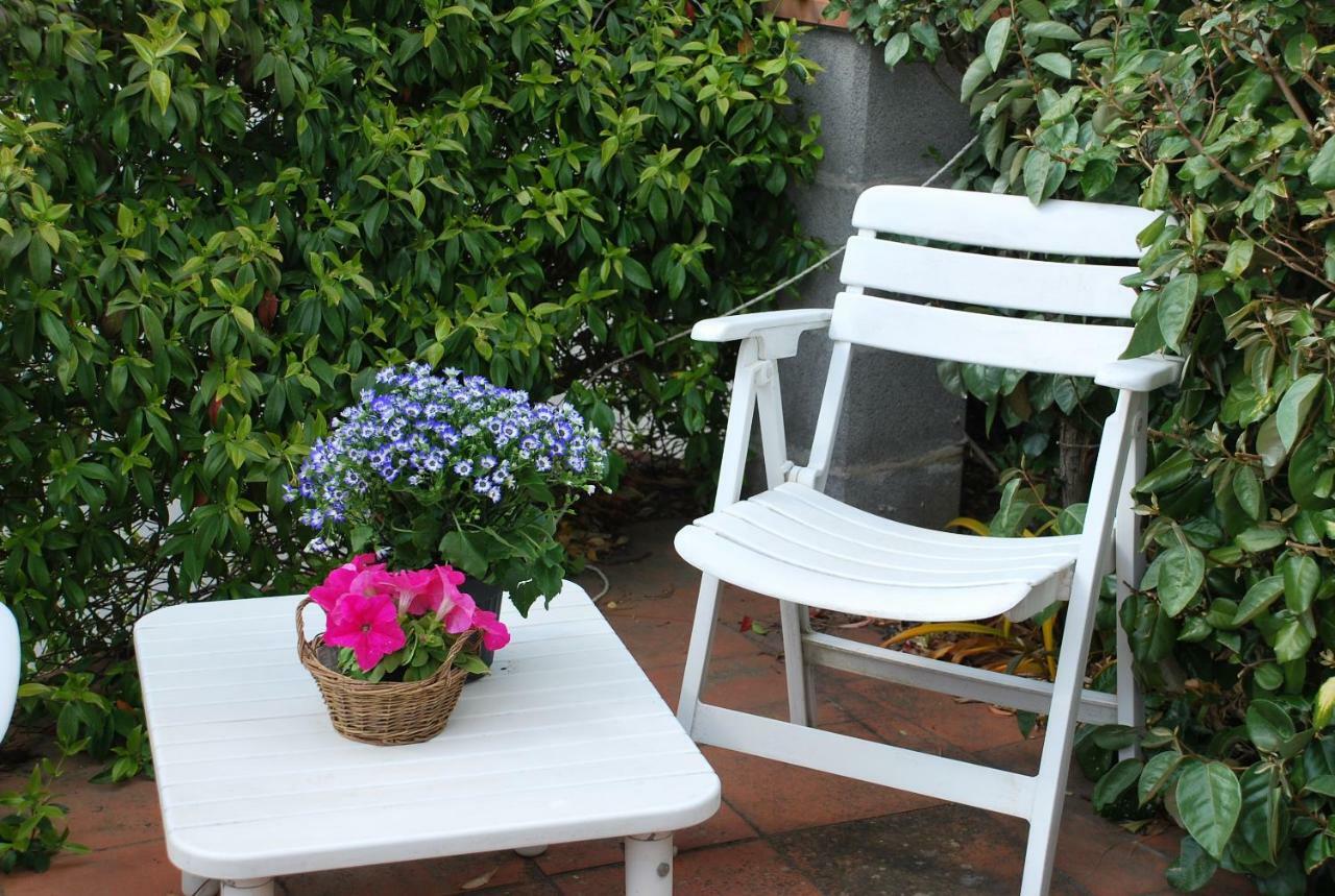 Casa Ai Pini Apartment Panzano in Chianti Ngoại thất bức ảnh