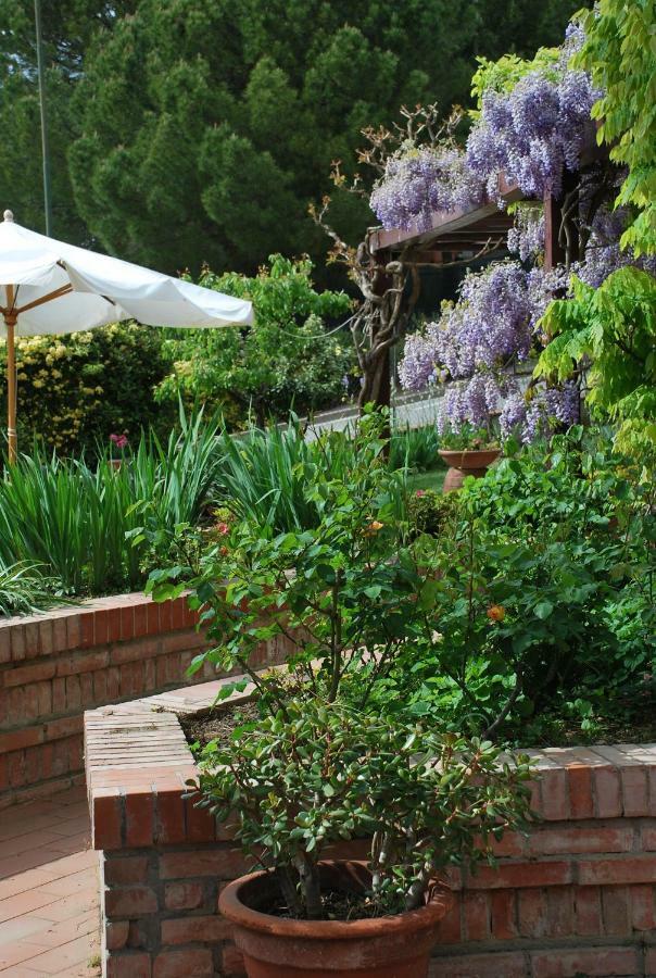 Casa Ai Pini Apartment Panzano in Chianti Ngoại thất bức ảnh